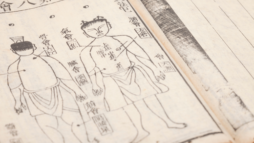Die Rolle der Erdung in der Traditionellen Chinesischen Medizin (TCM)